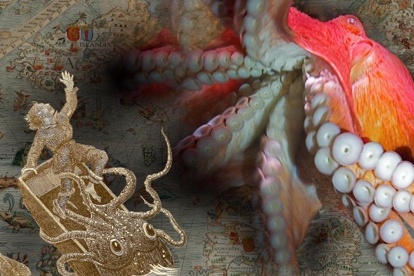 Kraken onion сайта