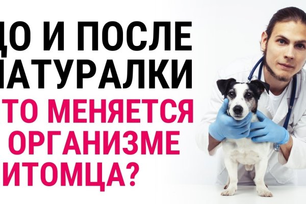 Кракен ссылка онлайн