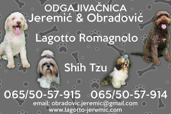 Кракен ссылка - полное руководство