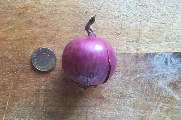 Быстрые стратегии с магазины котиков