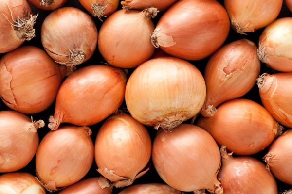 Лучшие практики krab9.at